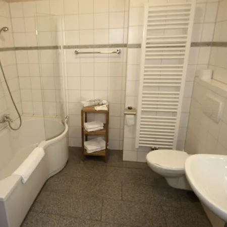 מלון Zittauer Hof 3*