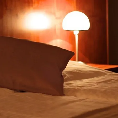 מלון Zittauer Hof 3*