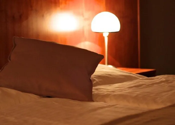 Hotel Zittauer Hof 3*